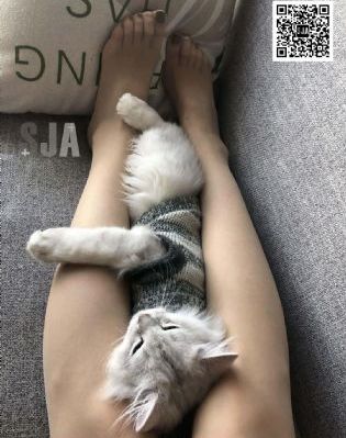 免费欧洲毛片a级视频无风险_DVD完整在线观看